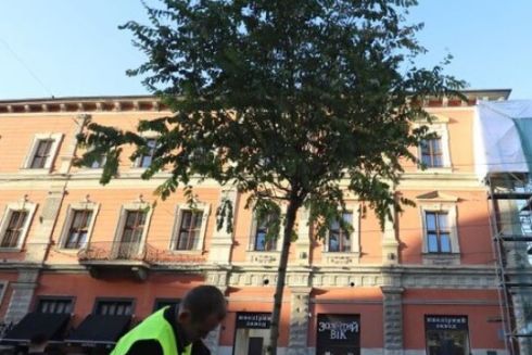 Во Львове высадят деревья на наиболее проблемных участках города