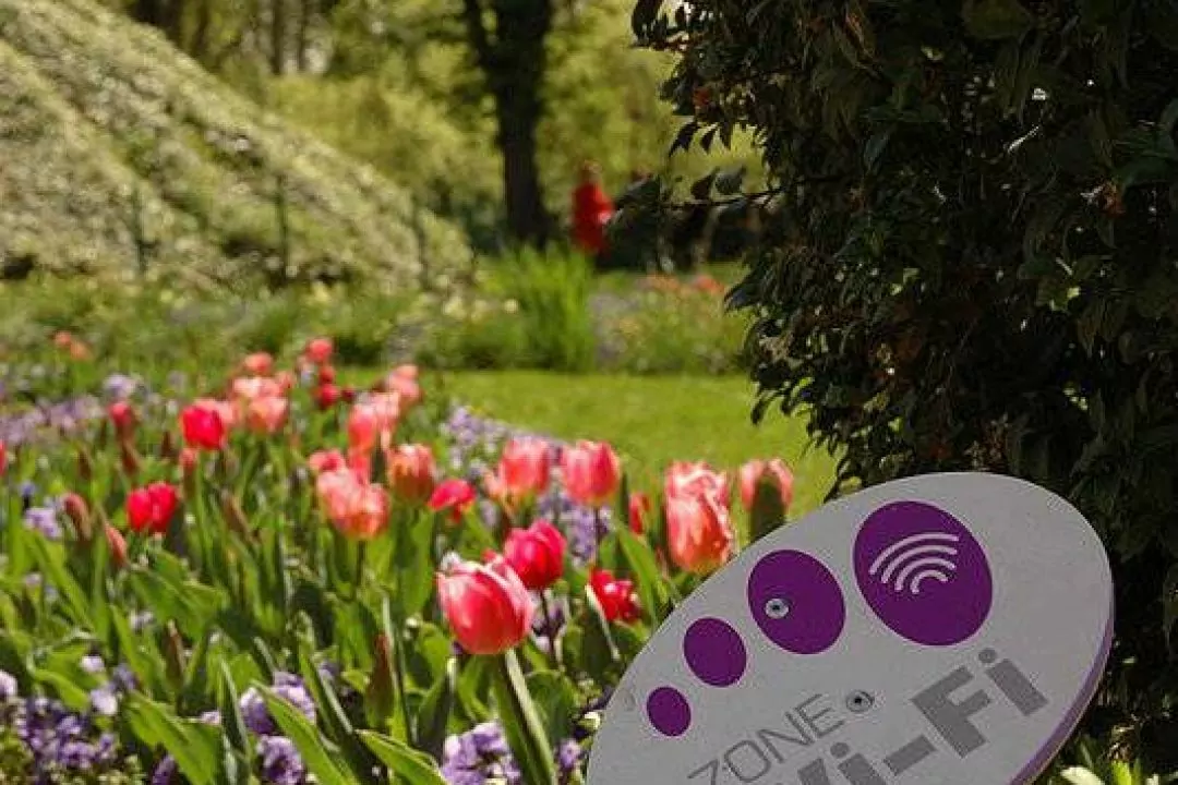 В двух киевских парках появился Wi Fi и видеонаблюдение