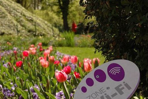 В двух киевских парках появился Wi Fi и видеонаблюдение