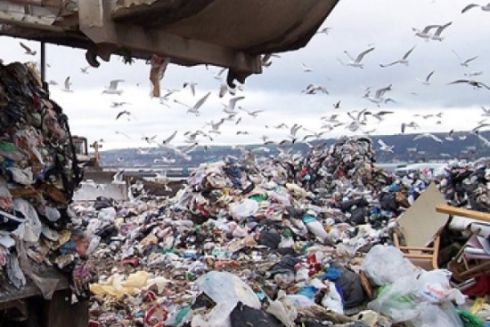 В Одесі запустять пілотний проєкт з управління відходами