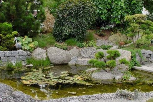 Терапевтичний сад в японському стилі створять у Тернополі: що там буде