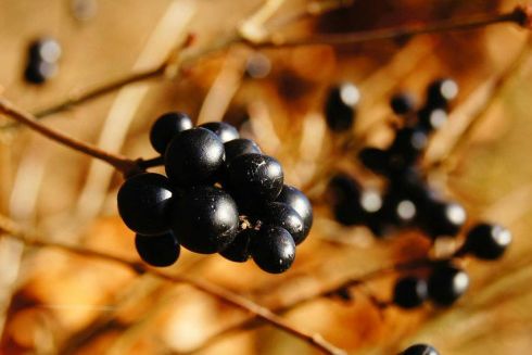 Стрит-арт маршрут и новые коворкинги