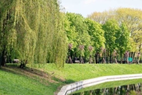 КМДА заявляє, що парків у Києві стало більше. Екологи кажуть протилежне