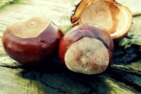 Нові місця і арт-інтервенції в місті