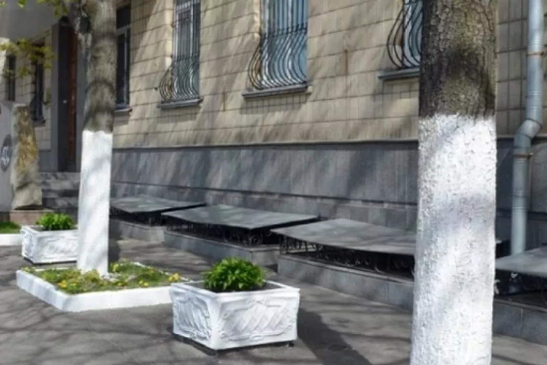 У Львові більше не білять дерева та бордюри: причина