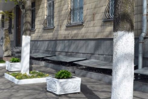 У Львові більше не білять дерева та бордюри: причина