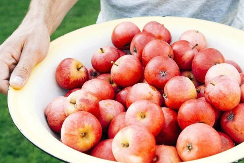 Необычные виды спорта, уличный кинотеатр в Одессе и жизнь без полиэтилена