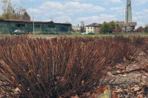 У Бородянці відновили знищену під час бойових дій зелену зону