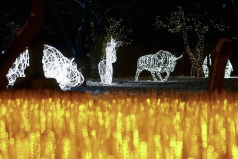 На ВДНГ открылся парк иллюминации &laquo;Магия Света&raquo;: фото