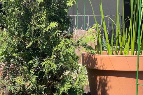 У Києві починають облаштовувати «водні сади»