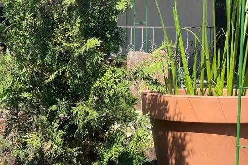 В Киеве начинают обустраивать &laquo;водные сады&raquo;