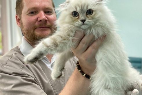 В Киеве можно бесплатно стерилизовать или вакцинировать домашних животных