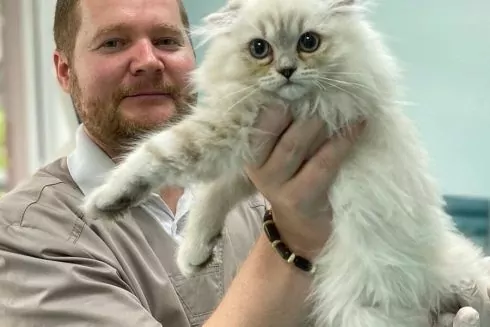 В Киеве можно бесплатно стерилизовать или вакцинировать домашних животных