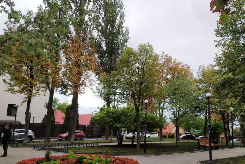 Фото. Смотрите, как обновили еще один сквер на Печерске