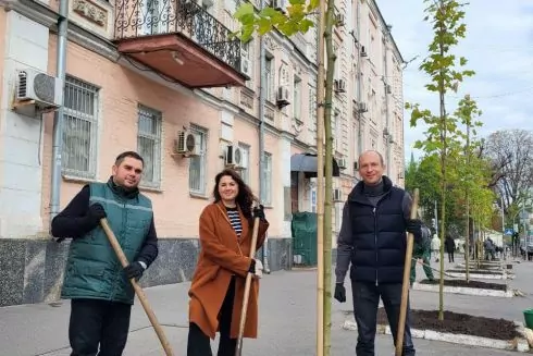 На Володимирській висадили алею платанів