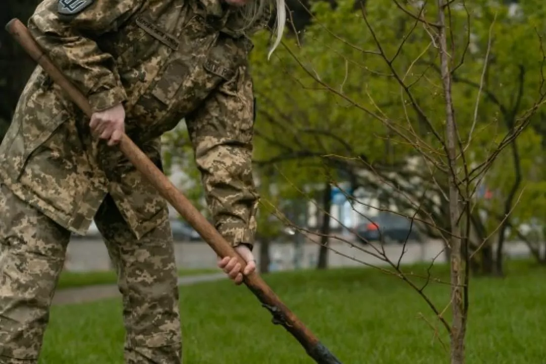 У сквері імені Заньковецької посадили магнолії, щоб зібрати кошти на берці для українських захисниць