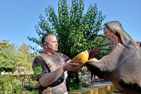 Киевский зоопарк содержит более 200 спасенных животных. Заведение просит о помощи