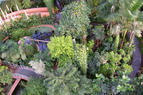 Ботсад Гришка просить про допомогу: запущено збір коштів для збереження колекції тропічних рослин