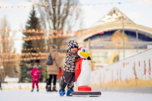 На интерактивную карту ЛУН добавили елки и катки