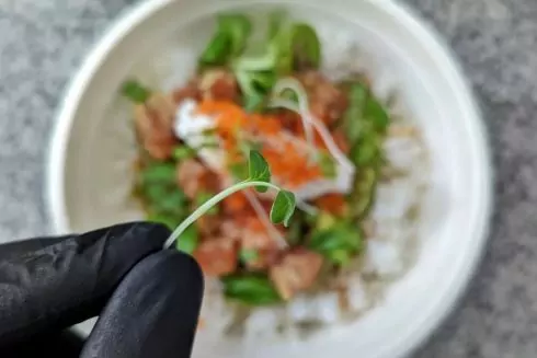 На Нивках открылось заведение 6,7 Tatami с поке-боулами