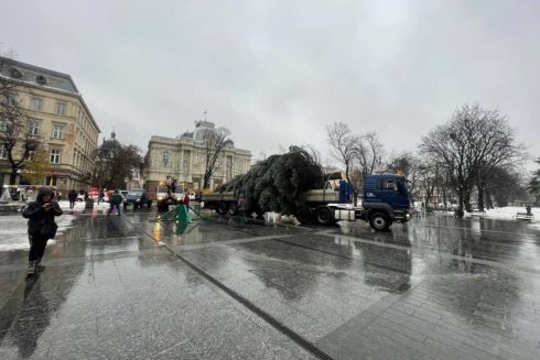 В центре Львова установят елку, корни которой повредила теплотрасса