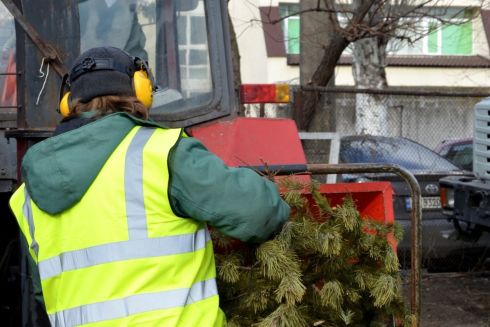Куда сдать елку на утилизацию: карта