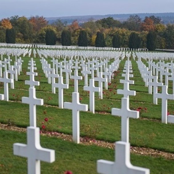 Суд арештував землю під Києвом, яку КМДА купила для облаштування кладовища