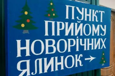 Куди здати ялинку на переробку після Нового року: адреси