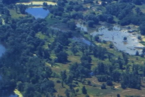 У Київраді кажуть, що не блокують створення заповіднику на Галерному острові