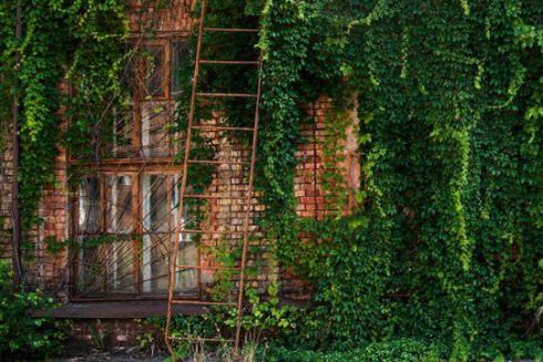 На территории киностудии Довженко открывается арт-пространство