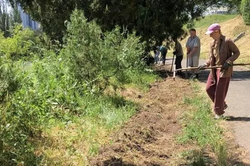 У Ботсаду Гришка просять допомоги киян у прибиранні і догляді за рослинами