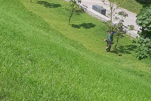 Кияни обурилися через скошення трави на Пейзажній алеї