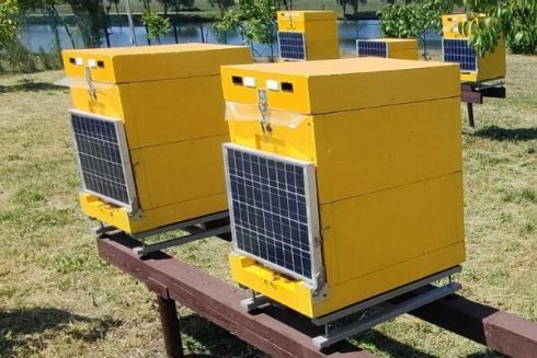На Київщині відкрили першу у світі ІТ-пасіку