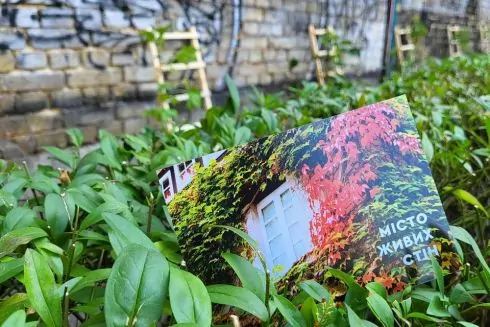 &laquo;Живі стіни&raquo;: У Голосіївському районі почали висаджувати в'юнкий виноград