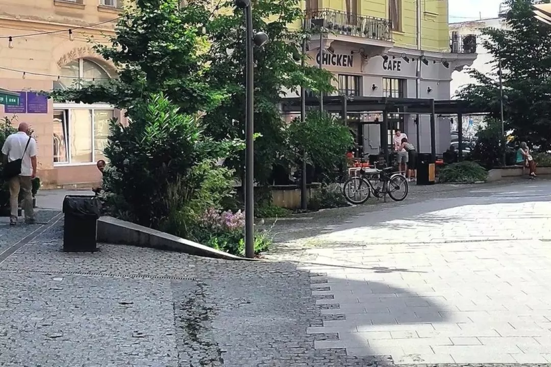 У Львові запарковану та незатишну вулицю перетворили на пішохідну та безбар'єрну