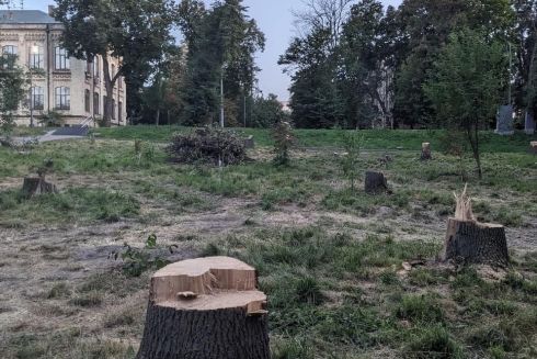 В парке КПИ срезали деревья: фото