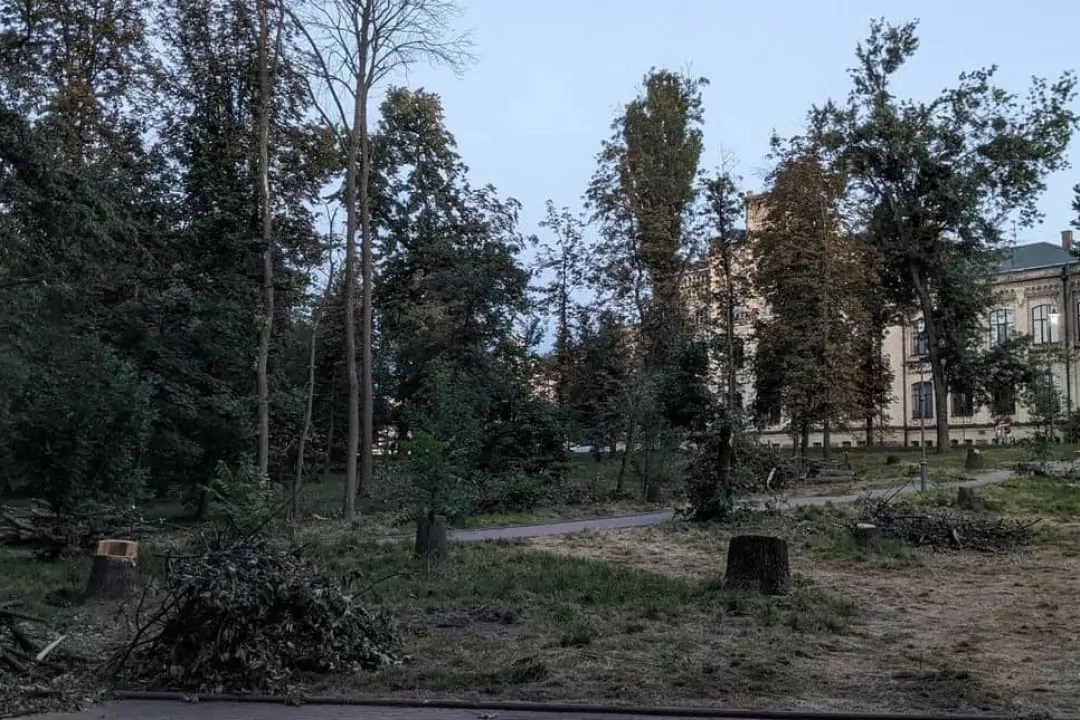 "Київзеленбуд" пояснив ситуацію з видаленням дерев у парку КПІ