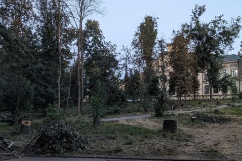 "Киевзеленстрой" объяснил ситуацию с удалением деревьев в парке КПИ