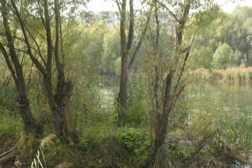 В Киеве окончательно спасли от застройки ландшафтный заказник «Троещинские луга»