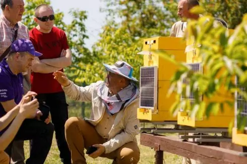 Украинские smart-улицы установят на исследовательских пасеках в странах Америки