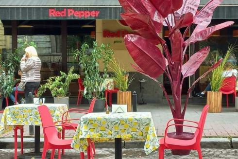 У Львові одну з головних вулиць на день зробили пішохідною