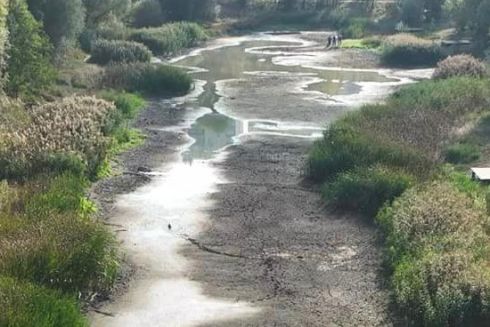 Коли розчистять озеро Синє на Виноградарі: коментар головного еколога Києва