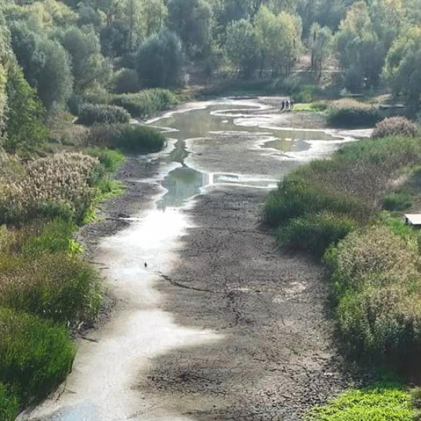 Когда расчистят озеро Синее на Виноградаре: комментарий главного эколога Киева