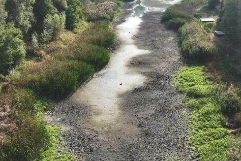 Озеро Синє на Виноградарі розчистять за 96 млн гривень: подробиці