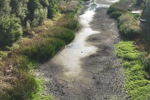 У Києві почали шукати підрядника для порятунку озера Синє