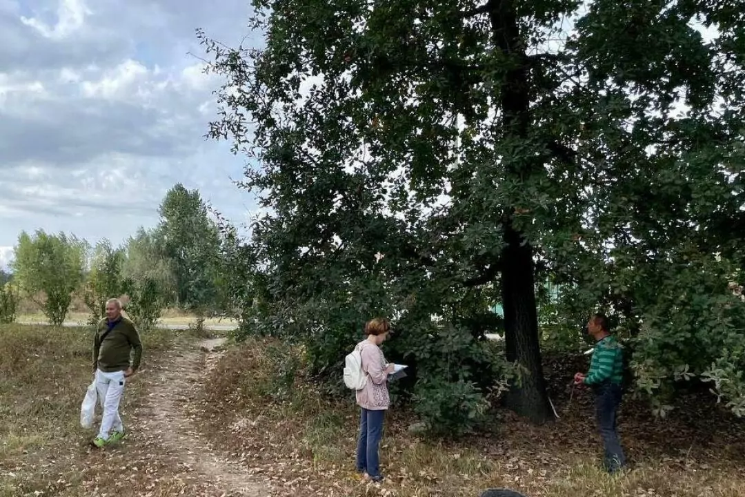 В Буче экоактивисты приступили к инвентаризации деревьев
