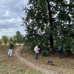 В Буче экоактивисты приступили к инвентаризации деревьев