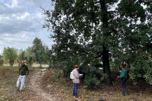 В Буче экоактивисты приступили к инвентаризации деревьев