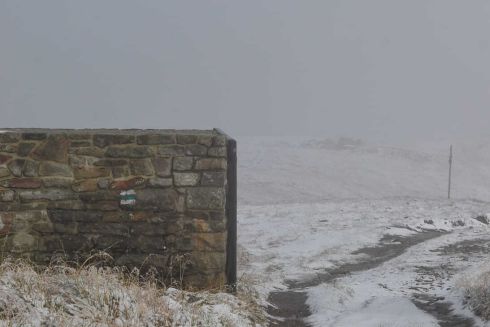 В Украине выпал первый снег