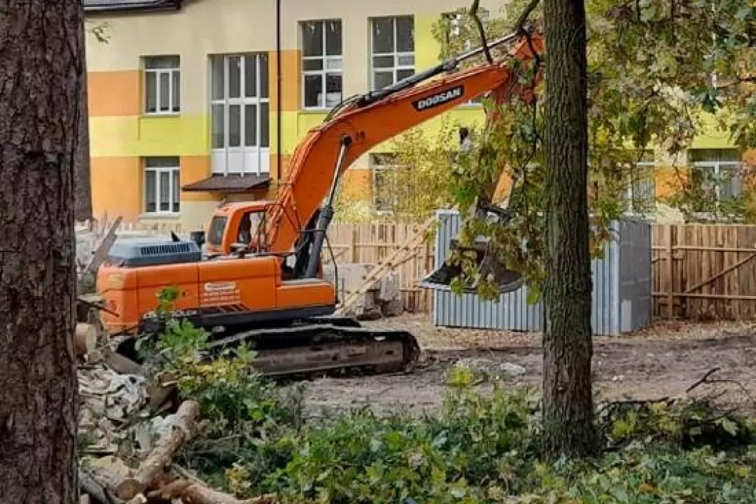 Для будівництва нової школи і дитсадка у Ворзелі можуть вирубати близько 300 дерев